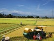 Khu vực Kl992 cổng game cá cược tập thể nói chung, HTX nói riêng chưa phát triển đúng tiềm năng, kỳ vọng