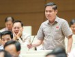Đại biểu Phan Thái Bình (Quảng Nam).