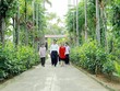 Nhiều địa phương ở Hà Tĩnh sau khi đạt chuẩn nông thôn mới đã bắt tay vào xây dựng nông thôn mới nâng cao, nông thôn mới kiểu mẫu.