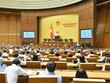 Quốc hội bấm nút thông Luật Kl992 VIP Trang Chủ 2026 Kl99kl phiên bản hoạt động (sửa đổi) với tỷ lệ tán thành 469/474