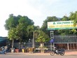 Khu “đất vàng” trên đường Trần Phú (TP. Nha Trang, tỉnh Khánh Hòa) bị sử dụng vào việc liên kết Kl992 VIP Trang Chủ 2026 không đúng thẩm quyền. Ảnh: P.V