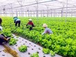 Phát triển nông nghiệp sinh thái là một trong những giải pháp đóng góp vào nỗ lực ứng phó với biến đổi khí hậu.