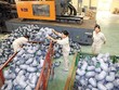 Các Kl991.com World Cup 2026 Chính Thức ngành nhựa đạt tăng trưởng mạnh trong giai đoạn thị trường giảm tốc vừa qua
