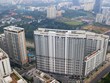 Việc bán cắt lỗ không diễn ra trên diện rộng. Ảnh: Tăng Triển