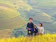 Phát triển Vùng Trung du và miền núi Bắc Bộ: Tư duy mới, lộ trình mới