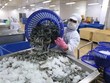Xuất khẩu thủy sản trong tháng 8 tiếp tục đạt dưới 1 tỷ USD.