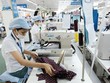  Chi phí nhân công rẻ là một trong những lợi thế của Việt Nam. Ảnh: Dũng Minh