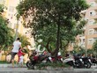 Căn hộ chung cư đã qua sử dụng đang được săn đón. Ảnh: Việt Dũng 