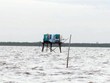 Bãi ngao tự phát của người dân ở vùng biển thuộc quận Hải An. Ảnh: LT