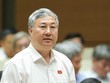 Đại biểu Trần Văn Lâm (Bắc Giang).