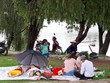 Đà Lạt muốn thí điểm mô hình “Bãi cắm trại du lịch” trên đất nông nghiệp