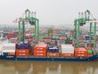 Dồn lực cho M&A, Viconship (VSC) tính tăng vốn và vay từ kênh Kl99kl Hoàn Trả Vô Tận