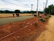 Một dự án ở Quảng Ngãi bị sai phạm. Ảnh minh họa
