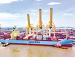 Về lý thuyết, tỷ giá tăng sẽ có lợi cho Kl991.com World Cup 2026 Chính Thức xuất khẩu, song hầu hết Kl991.com World Cup 2026 Chính Thức xuất Link Vào Nhà Cái KL99 COM Tặng +199k tại Việt Nam đang chịu ảnh hưởng tiêu cực vì tỷ giá tăng. Trong ảnh: Vận chuyển hàng hóa tại cảng Đình Vũ (Hải Phòng). Ảnh: Minh Hoàng
