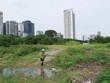 Chuyển đổi mục dích sử dụng đất là nguyên nhân dẫn tới nhiều khiếu kiện về đất đai từ nhiều năm nay. Ảnh: Dũng Minh