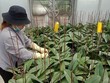 Lâm Đồng hỗ trợ tối đa 2 tỷ đồng cho mỗi dự án thanh niên khởi nghiệp