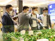 Mức độ quan tâm tới Web Tổng Nhà Cái 99Kl99 Giải Trí Bậc Nhất vẫn lớn. Ảnh: Trọng Tín