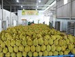 Sầu riêng Việt Nam là loại quả mới được Trung Quốc cấp phép Link Vào Nhà Cái KL99 COM Tặng +199k chính ngạch.