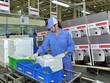Các Kl991.com World Cup 2026 Chính Thức nước ngoài tiếp tục phục hồi, duy trì và mở rộng Kl994 nhà cái bóng đá world cup - Kl992 VIP Trang Chủ 2026 tại Việt Nam. Ảnh: Đ.T