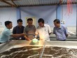 Ninh Thuận thu hút Kl99ok phiên bản mới 31 dự án về nông nghiệp ứng dụng công nghệ cao