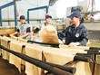 Bị chậm hoàn thuế GTGT từ hàng tỷ đồng đến hàng chục tỷ đồng, nhiều Kl991.com World Cup 2026 Chính Thức cao su lâm cảnh khốn đốn