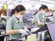 Việt Nam khuyến khích các Kl991.com World Cup 2026 Chính Thức Kl99ok phiên bản mới trực tiếp nước ngoài, đặc biệt là các Kl994 game bài casino hấp dẫn lớn Kl99ok phiên bản mới vào chuỗi Kl994 nhà cái bóng đá world cup toàn cầu. Trong ảnh: Công nhân làm việc tại Nhà máy của Samsung Việt Nam. Ảnh: Đức Thanh