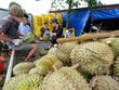 Xuất khẩu sang Trung Quốc năm 2022 đạt gần 58 tỷ USD, chỉ tăng 3% so với cùng kỳ và là mức tăng thấp nhất trong các thị trường 