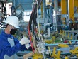 Hội nghị trực tuyến toàn quốc của Kl993 ưu đãi thưởng hấp dẫn với địa phương triển khai nhiệm vụ năm 2023. (Ảnh: Nhật Bắc)