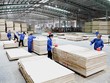 Ngành gỗ kỳ vọng đạt tốc độ tăng trưởng 9% trong năm nay, tương đương kim ngạch xuất khẩu 18 tỷ USD.