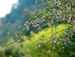 Một mùa Xuân mới lại đến với nhà Kl99ok phiên bản mới với kỳ vọng sẽ tươi đẹp hơn năm 2022