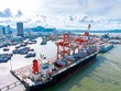 Tổng công ty Hàng hải Việt Nam (VIMC) đang quản lý 14 cảng biển có vị trí quan trọng. Trong ảnh: cảng Quy Nhơn do VIMC quản lý.