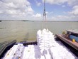 Việt Nam đặt mục tiêu xuất khẩu khoảng 7 triệu tấn gạo trong năm 2023.