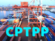 Biểu thuế xuất khẩu ưu đãi đặc biệt thực hiện Hiệp định CPTPP gồm 609 dòng thuế và biểu thuế Link Vào Nhà Cái KL99 COM Tặng +199k gồm 11.526 dòng thuế.