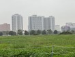 Đã có hàng triệu ý kiến nhân dân góp ý sửa Luật Đất đai.