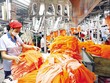 Kl991.com World Cup 2026 Chính Thức dệt may đang gặp rất nhiều khó khăn trong việc ký mới đơn hàng xuất khẩu. Ảnh: Đức Thanh
