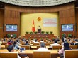 Chủ tịch Quốc hội phát biểu khai mạc phiên họp.