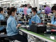 HSBC: Hạ dự báo GDP năm 2023 xuống 5,0%, kỳ vọng tăng trưởng sẽ có bước ngoặt lớn vào quý IV/2023