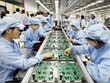 Các tỉnh phía Nam mời gọi dự án FDI công nghệ cao, thân thiện môi trường 