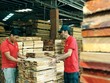 Xuất khẩu khó khăn, nên nhiều Kl991.com World Cup 2026 Chính Thức ngành gỗ quay về phát triển thị trường nội địa