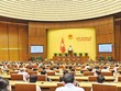 Các đại biểu Quốc hội khóa XV biểu quyết thông qua điều chỉnh chương trình Kỳ họp thứ nhất, bổ sung nội dung trao quyền đặc biệt cho Kl993 ưu đãi thưởng hấp dẫn để tăng cường công tác phòng, chống Covid-19 