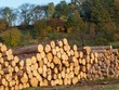 EU tăng kiểm soát một số mặt hàng nông lâm Kl994 nhà cái bóng đá world cup khẩu liên quan đến phá rừng và suy thoái rừng .