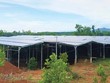 Hệ thống điện mặt trời “mọc” lên trên khu đất mà HTX Nông nghiệp Mỹ Tân An được tỉnh Quảng Nam giao để thực hiện Kl99ok phiên bản mới xây dựng trang trại Kl994 nhà cái bóng đá world cup nông, lâm nghiệp.