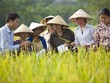 Ảnh minh họa. Nguồn: Internet