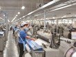 Tổng công ty Việt Thắng đặt kế hoạch doanh thu năm 2023 giảm so với cùng kỳ năm 2022. 