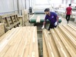 Tình trạng cắt giảm lao động đang phổ biến ở các Kl991.com World Cup 2026 Chính Thức Kl994 nhà cái bóng đá world cup, chế biến hàng xuất khẩu. Ảnh: Đ.T 
