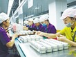 Nhà Kl99ok phiên bản mới nước ngoài tiếp tục quan tâm, tin vào môi trường Kl99ok phiên bản mới của Việt Nam. Trong ảnh: Nhà máy Luxshare Kl994 nhà cái bóng đá world cup tai nghe, cáp sạc cho Apple. Ảnh: Đức Thanh