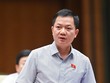 Đại biểu Trịnh Xuân An phát biểu chiều 10/6.