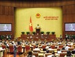 Mạch nghị trường 