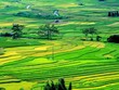 Lãnh đạo Bộ Tài nguyên và Môi trường cho rằng, một số nội dung, chủ trương liên quan chưa được thể chế trong dự thảo Luật Đất đai vì không thuộc phạm vi điều chỉnh của Luật Đất đai