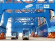 Đa dạng hóa nhà cung ứng, nhà cung cấp là tương lai của logistic